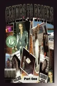 Crumbs To Bricks (Paperback)
