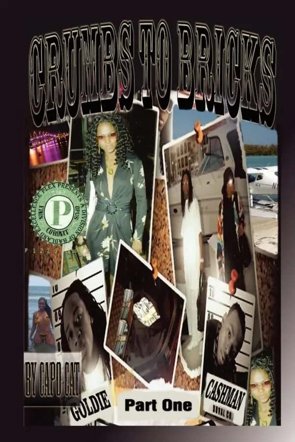 Crumbs To Bricks (Paperback)